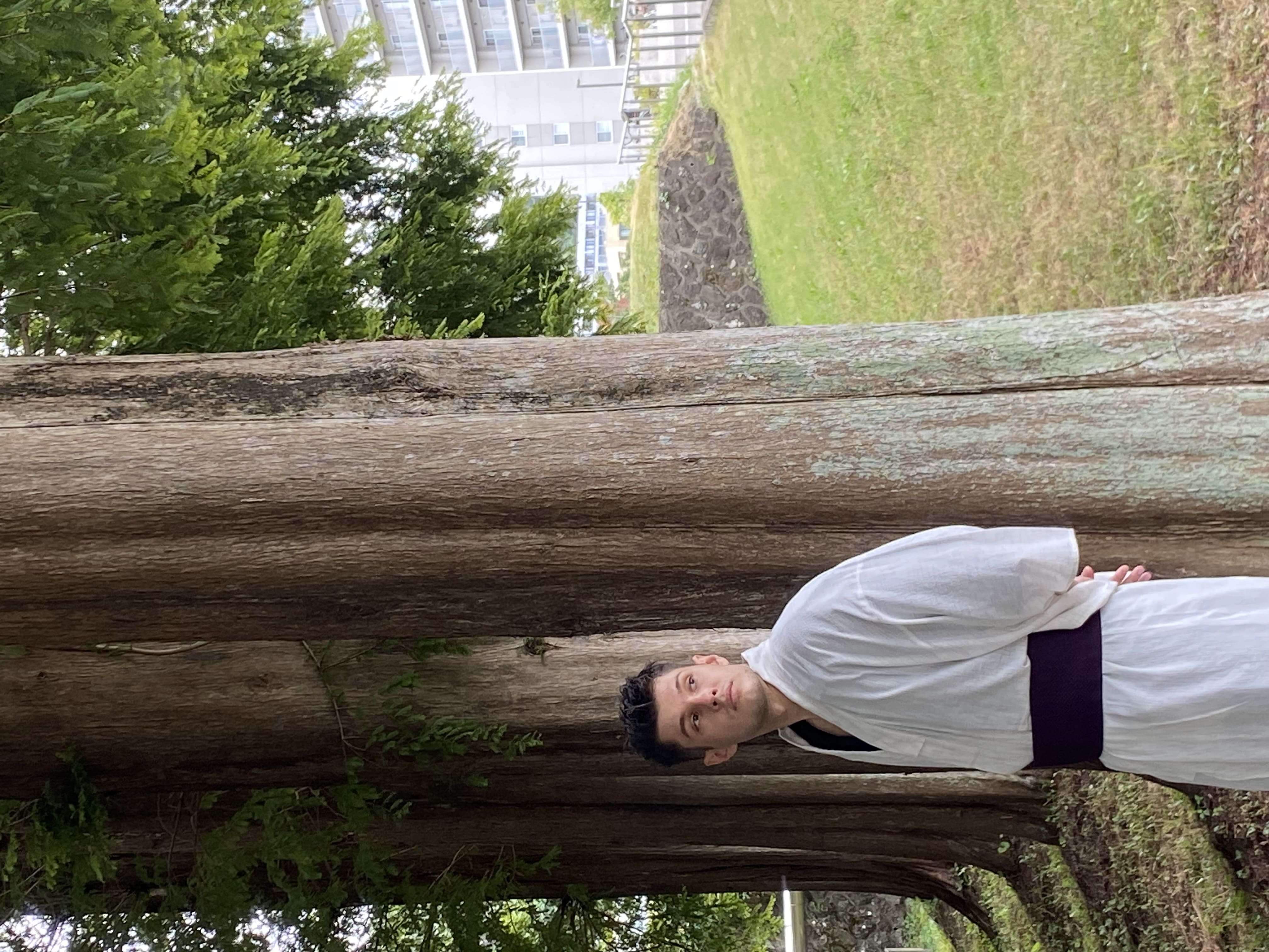 波格丹